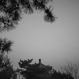 休闲风格采蘑菇游戏《Out and About》公布游戏预告片